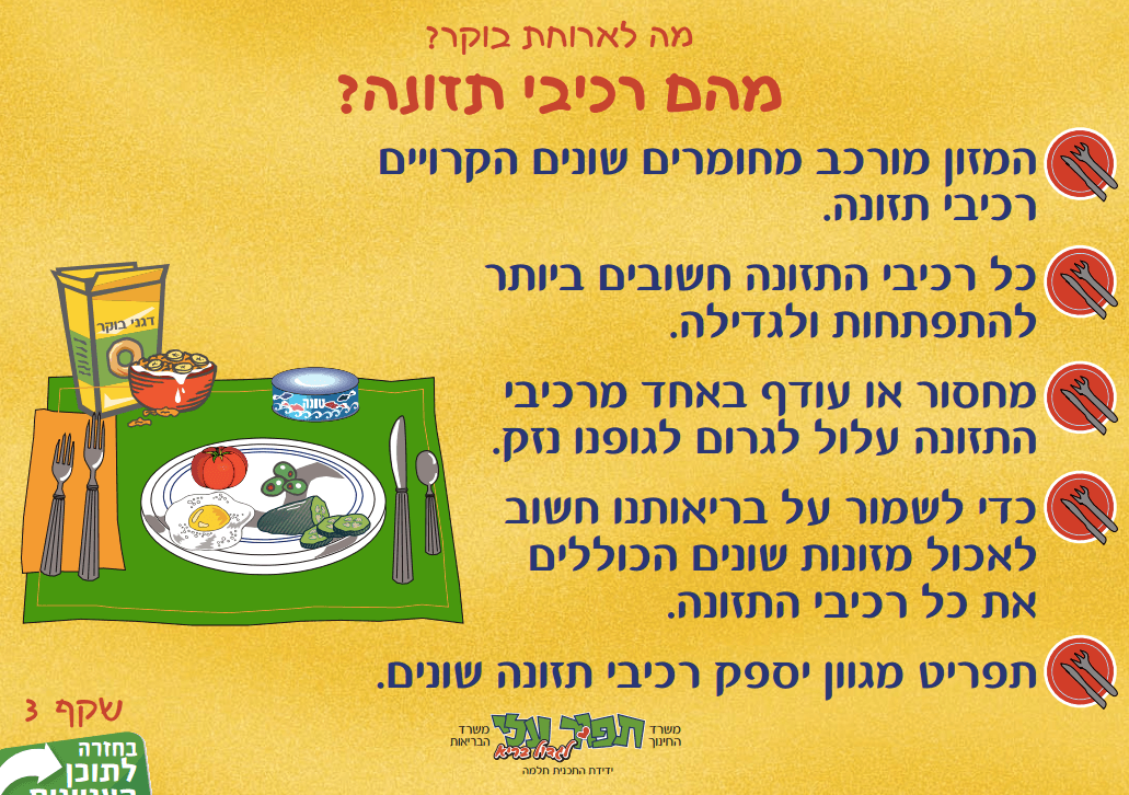 תלמה 8